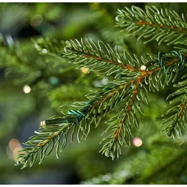 12 ft. Pre-Lit LED Grand Duchess Twinkling Balsam Fir Artificial Christmas Tree T36