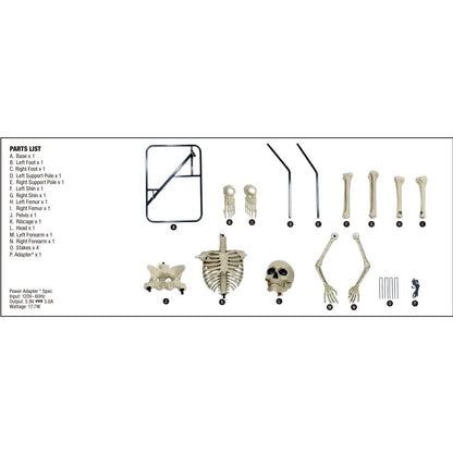 6.5ft Grave & Bones LED App Controlled Ultra Skelly 1013295819 Parts H & I Femur