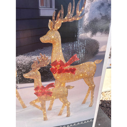 Deer Family With Twinkle Lights Outdoor LED Holiday Decoration Set