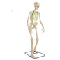 Used 6.5 Ft. Grave & Bones Animated LED App Controlled Ultra Skelly with LifeEyes LCD Eyes H23