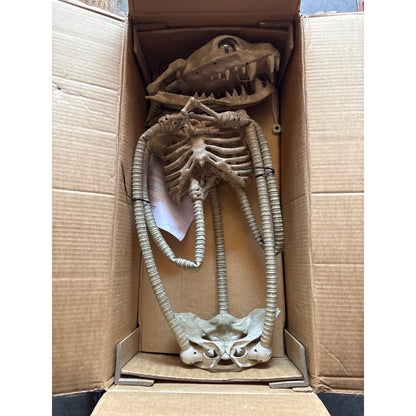 Posable Skeleton Snake With Glowing Green Eyes - Halloween Decoration - 5 Ft Tall