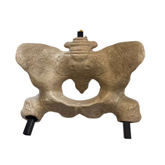 6.5ft Grave & Bones LED App Controlled Ultra Skelly 1013295819 Part J Pelvis