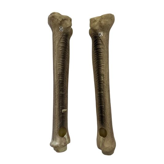 Grim Spirit Halloween 01512730 Parts G & K Upper Leg