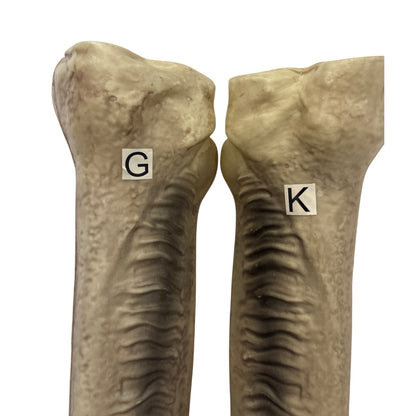 Grim Spirit Halloween 01512730 Parts G & K Upper Leg