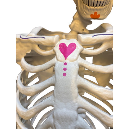 Ultraposeable Day Of The Dead 5 Ft Skeleton 3-Pack