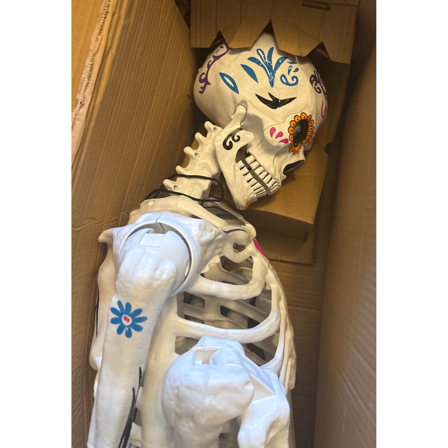 Ultraposeable Day Of The Dead 5 Ft Skeleton 3-Pack