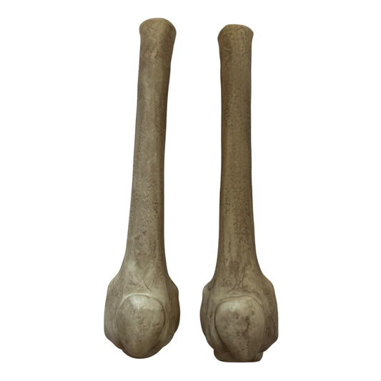 Grim Spirit Halloween 01512730 Parts F & J Femur