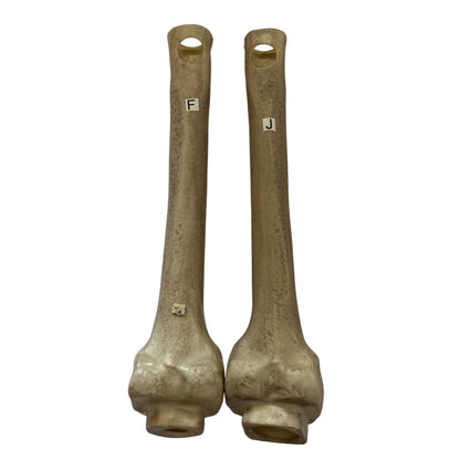 Grim Spirit Halloween 01512730 Parts F & J Femur