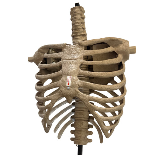 6.5ft Grave & Bones LED App Controlled Ultra Skelly 1013295819 Part K Ribcage