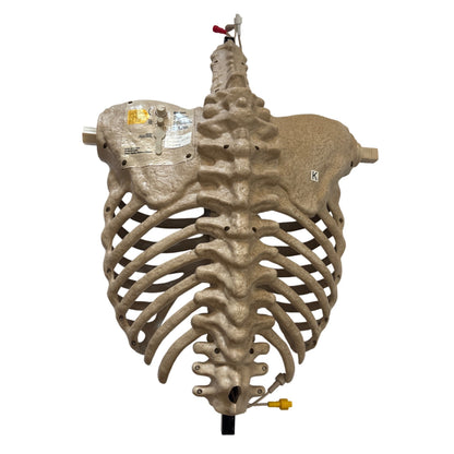 6.5ft Grave & Bones LED App Controlled Ultra Skelly 1013295819 Part K Ribcage