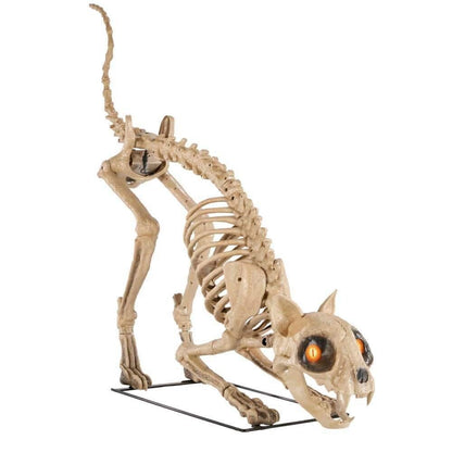 5 Ft Long Grave & Bones LED Skelly's Cat Home Depot Halloween
