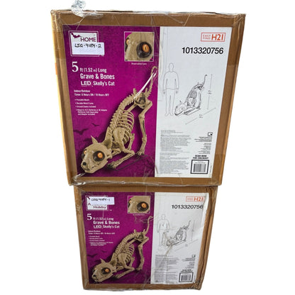 5 Ft Long Grave & Bones LED Skelly's Cat Home Depot Halloween