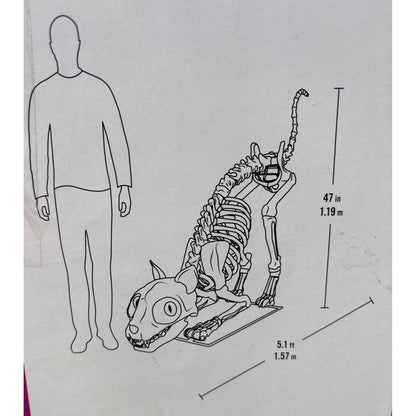 5 Ft Long Grave & Bones LED Skelly's Cat Home Depot Halloween