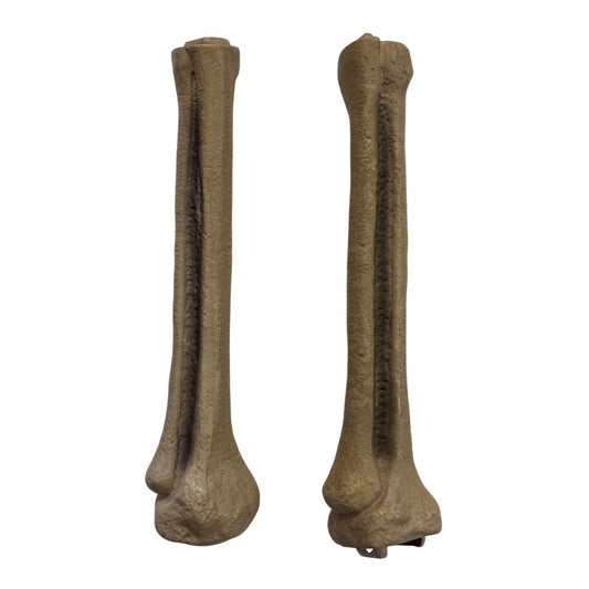 6.5ft Grave & Bones LED App Controlled Ultra Skelly 1013295819 Part G & F Shins