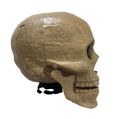 6.5ft Grave & Bones LED App Controlled Ultra Skelly 1013295819 Part L Head